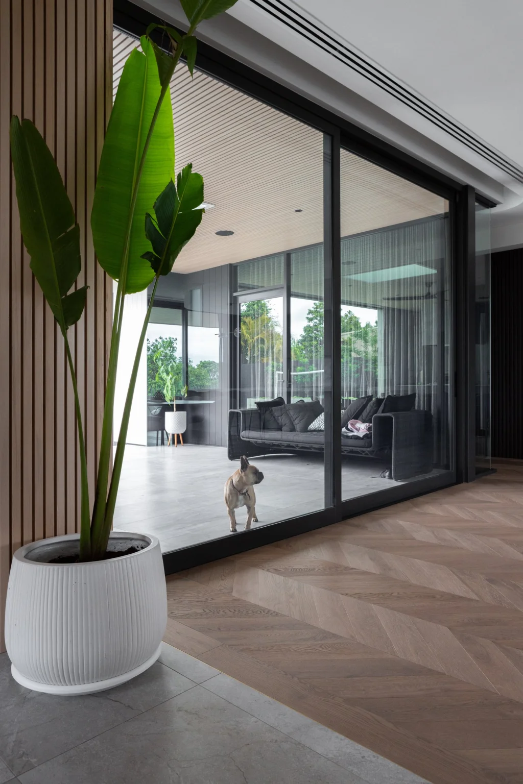 Coolbinia Residence Image
