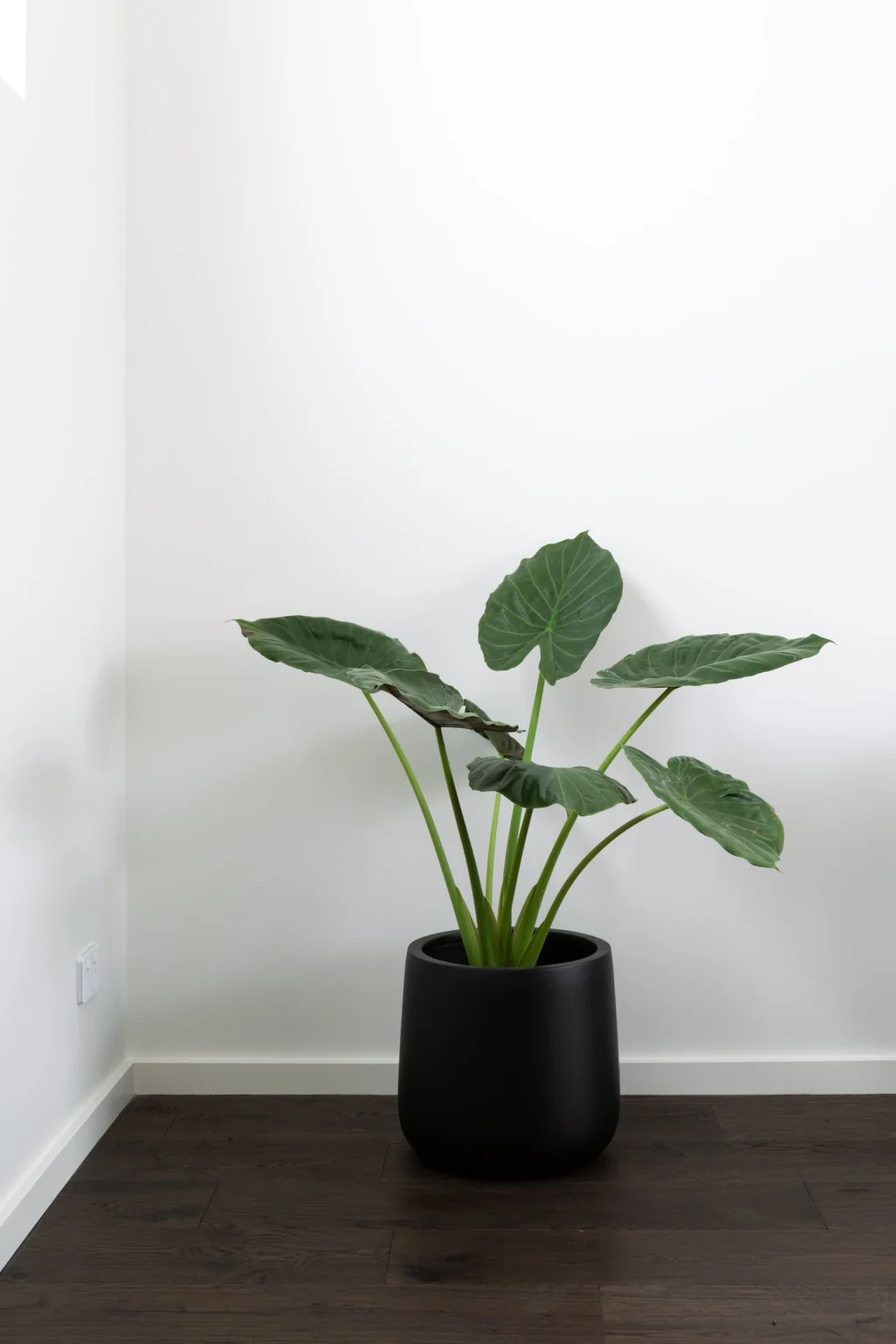 Floreat Residence 7.0 Image 13