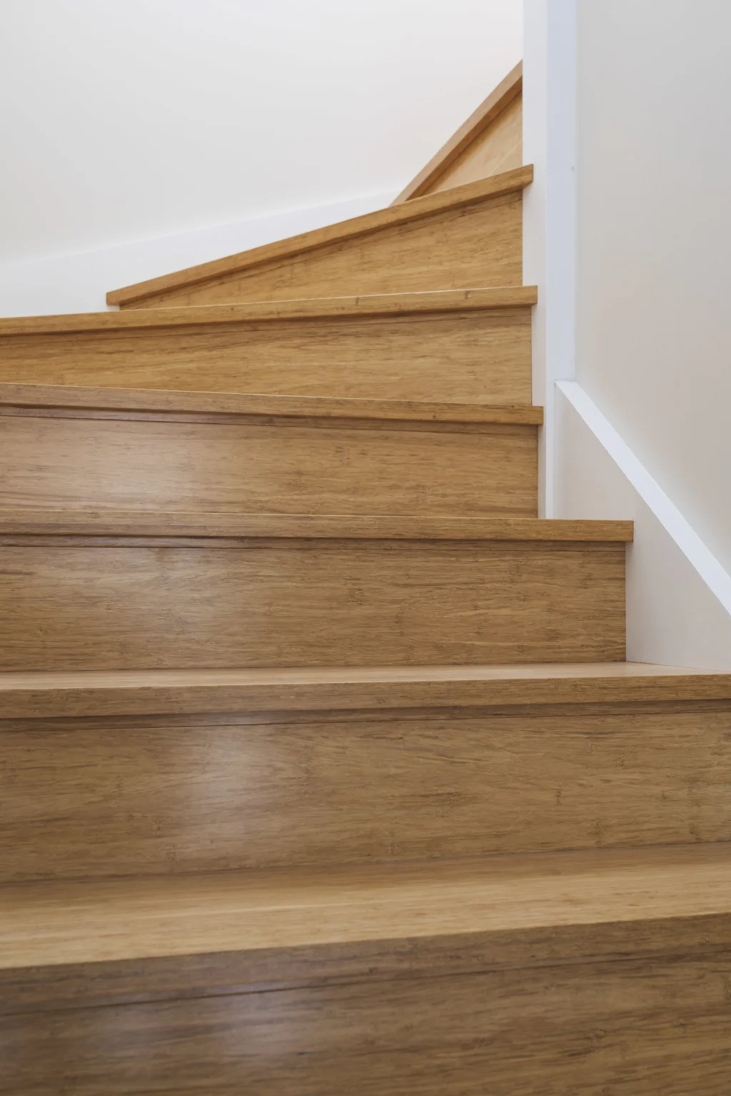 Scarborough Residence Image