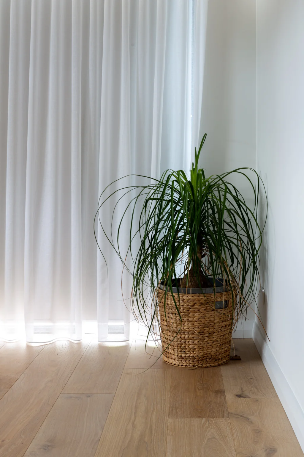 Shenton Park Residence 2.0 Image 2