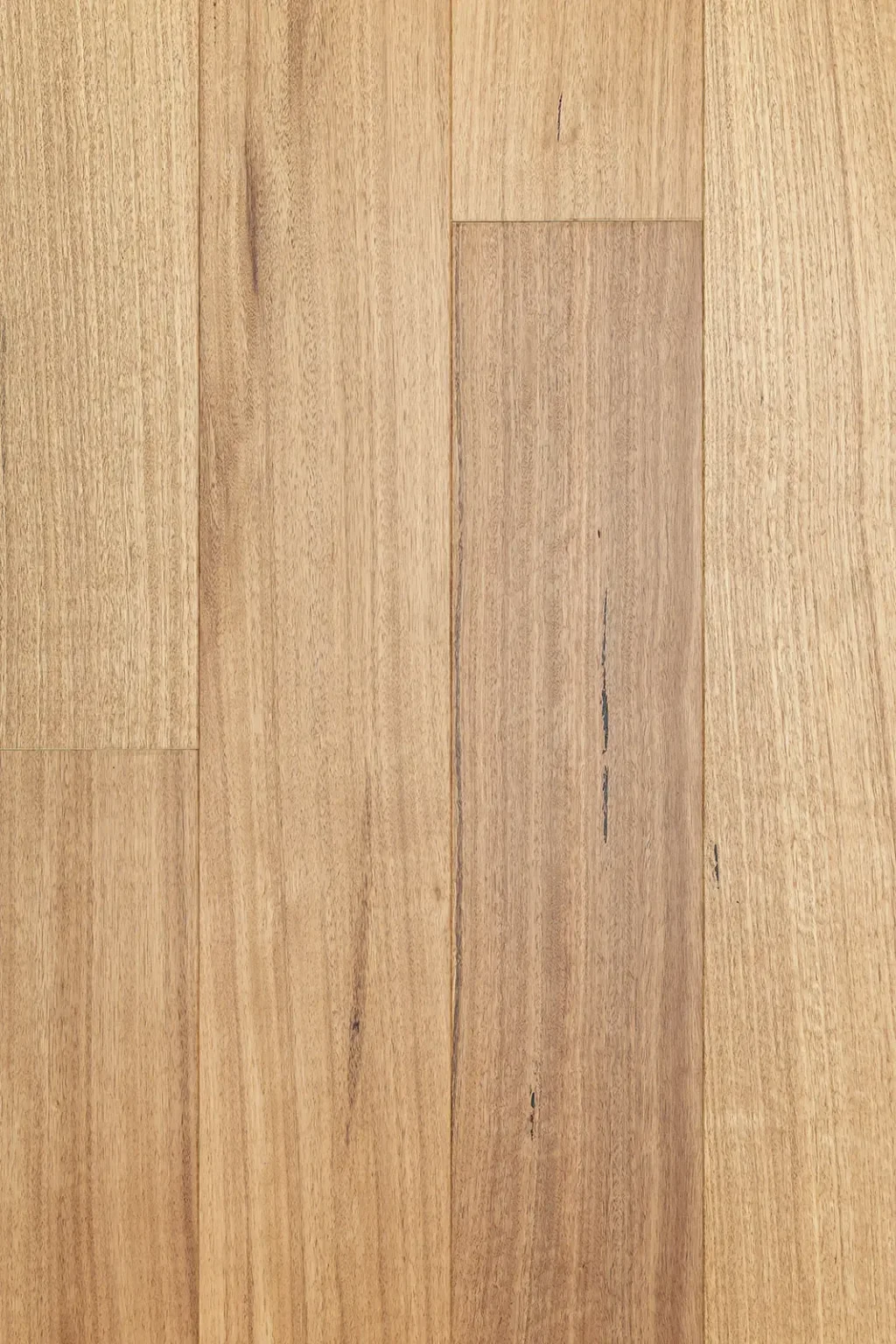 Blackbutt 135 Standard Matte Smooth Image