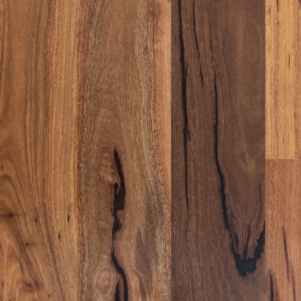 Spotted Gum 130 Character Satin Image