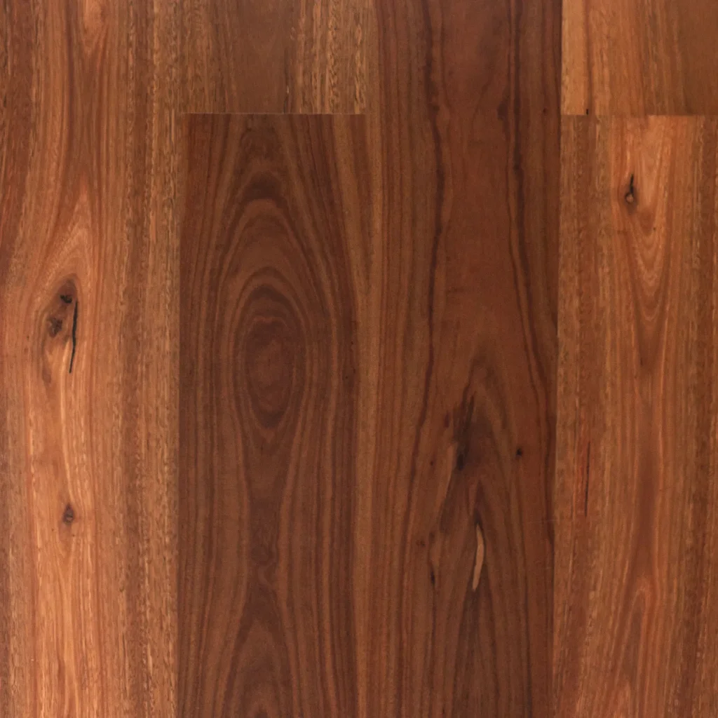 Spotted Gum 136 Standard Satin Image