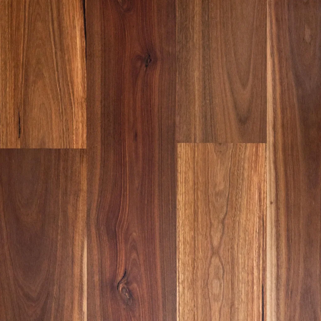 Spotted Gum 180 Standard Matte Image