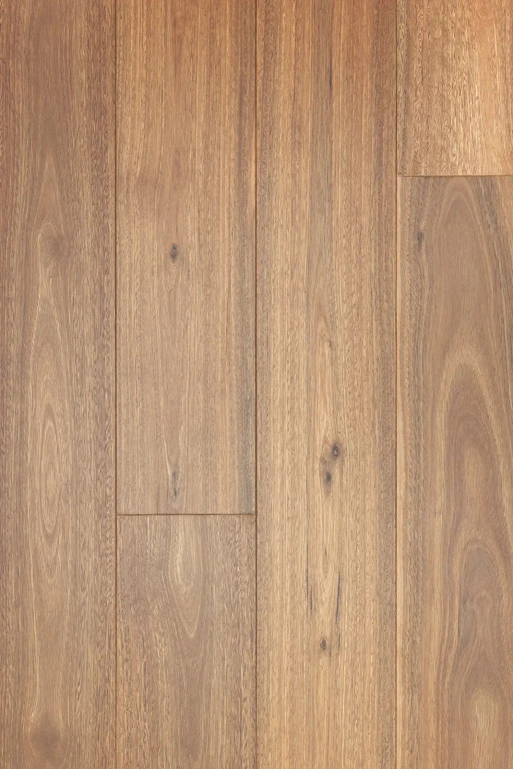 Spotted Gum 135 Standard Matte Image