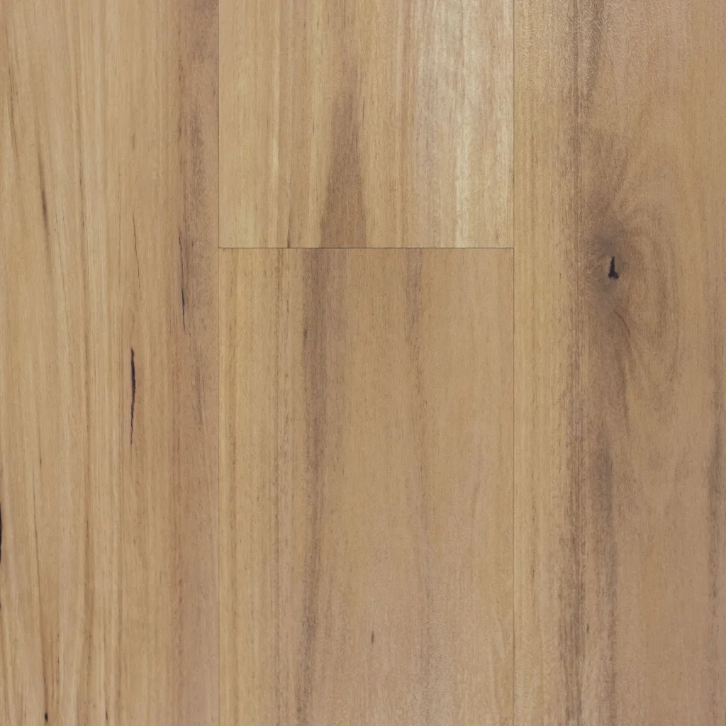 Blackbutt Hybrid Image