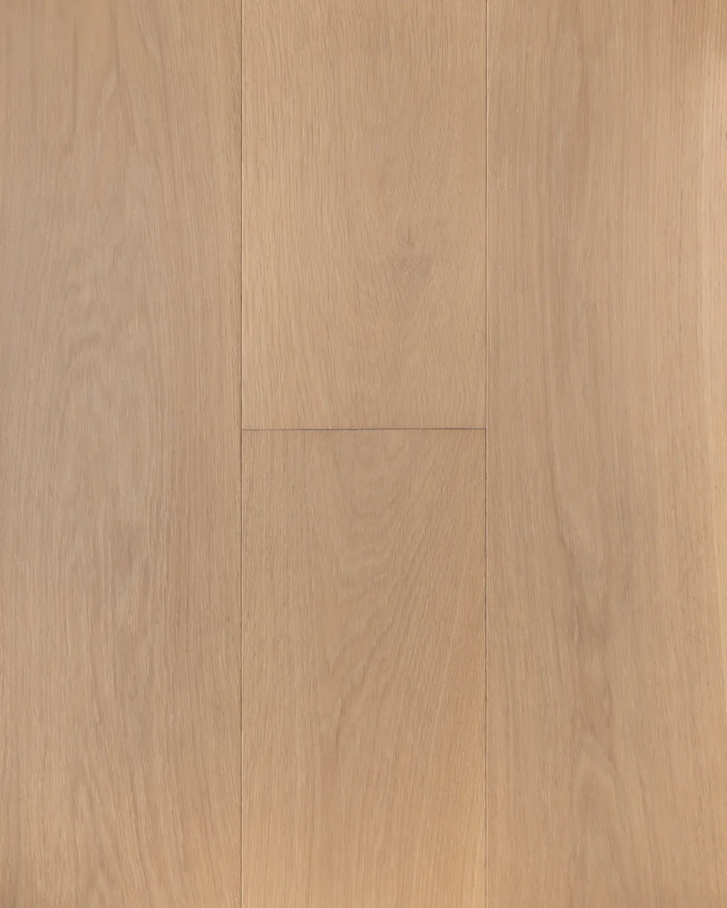 Sahara Select Image