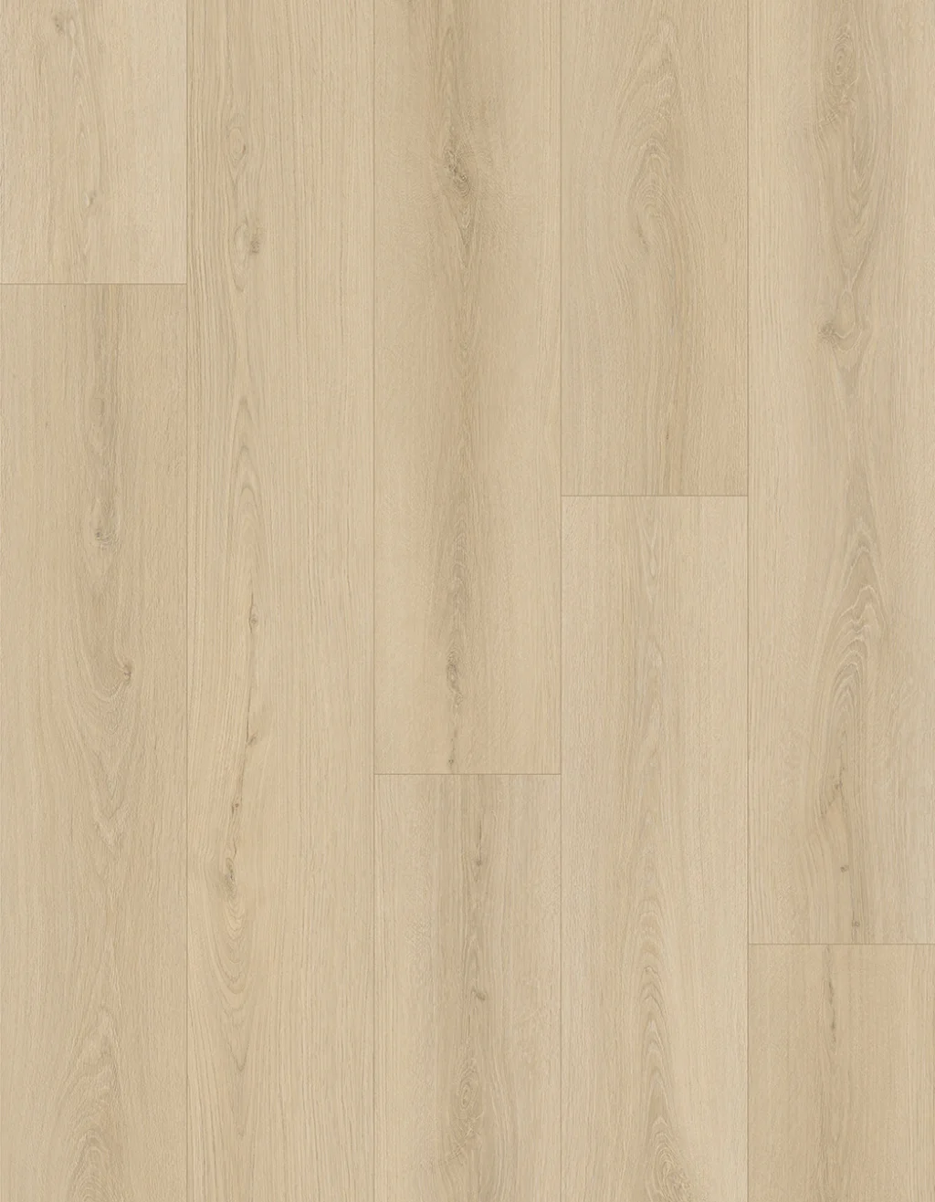 Canvas Image
