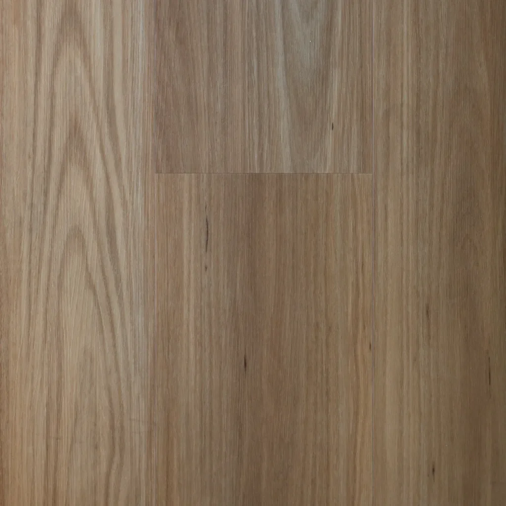 Blackbutt Tundra Image
