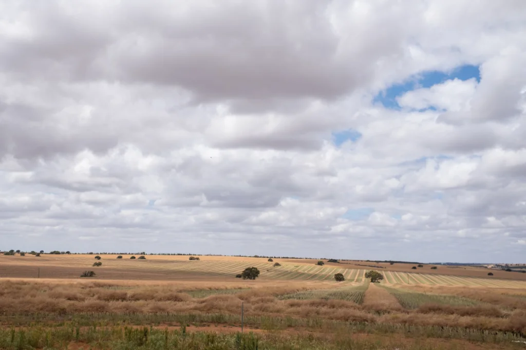 Woodpecker Flooring Image