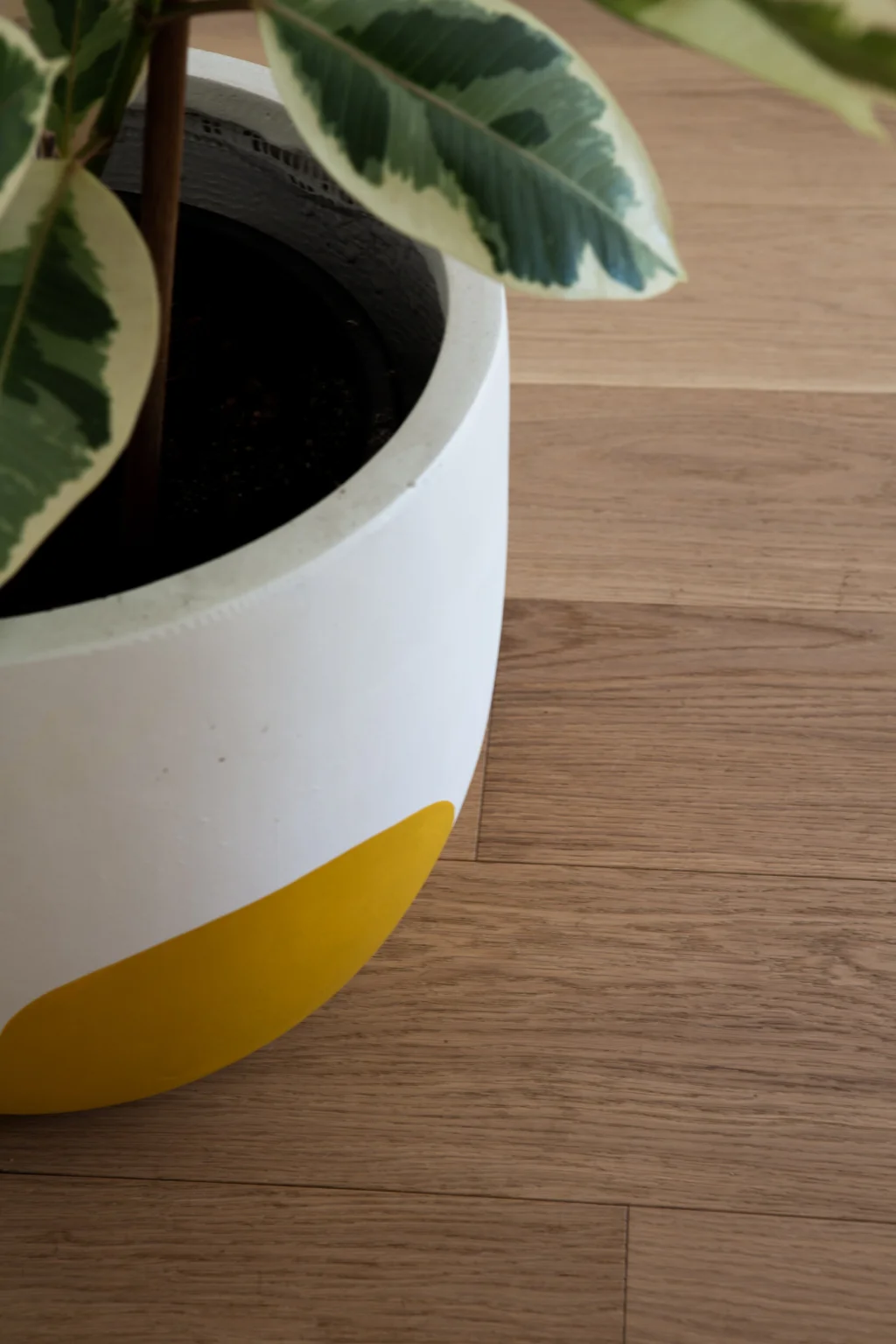 Woodpecker Flooring Image