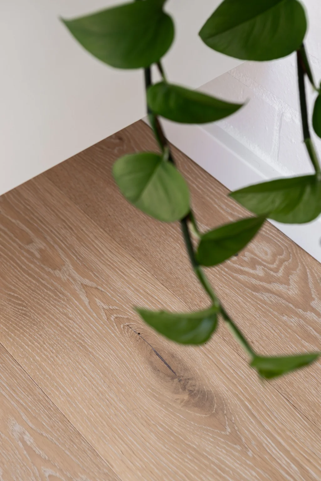 Woodpecker Flooring Image