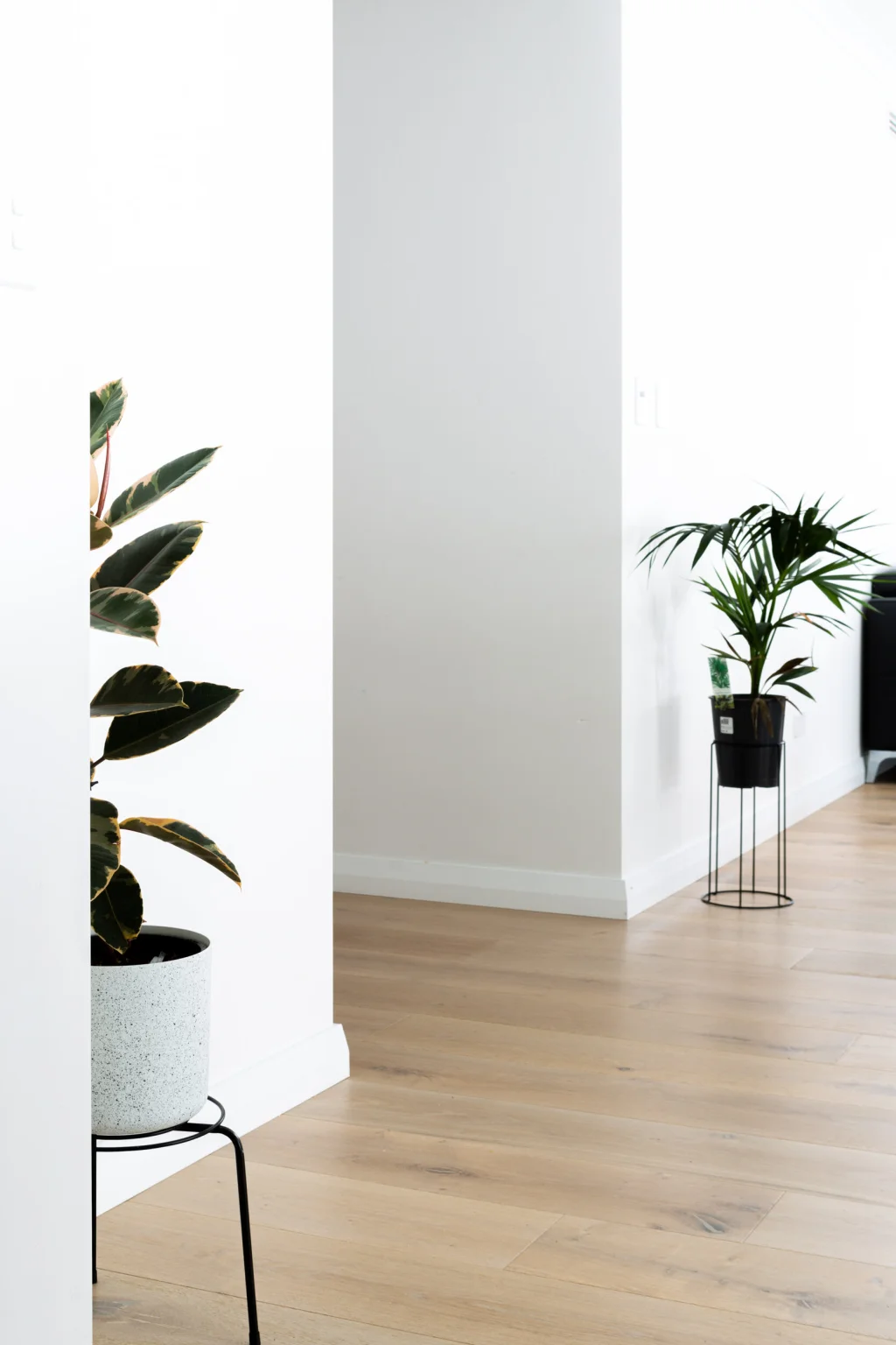 Woodpecker Flooring Image