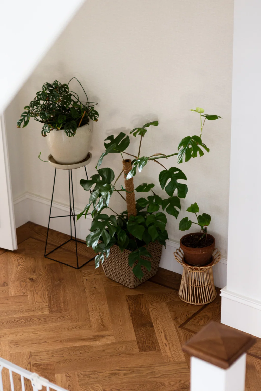 Woodpecker Flooring Image