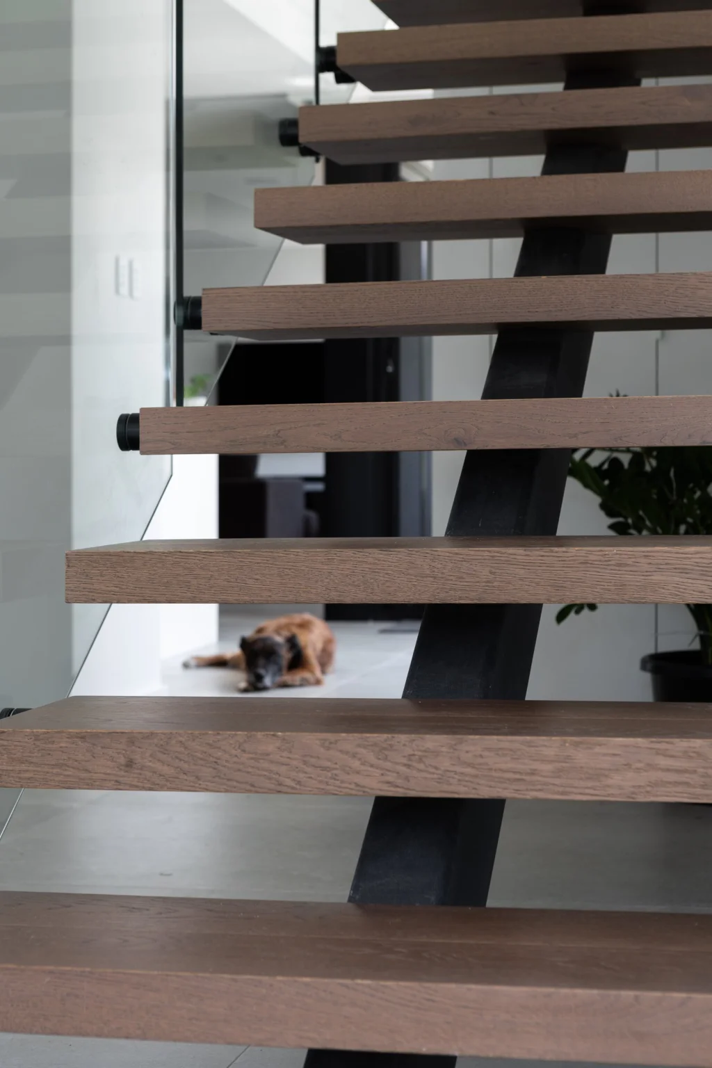 Woodpecker Flooring Image