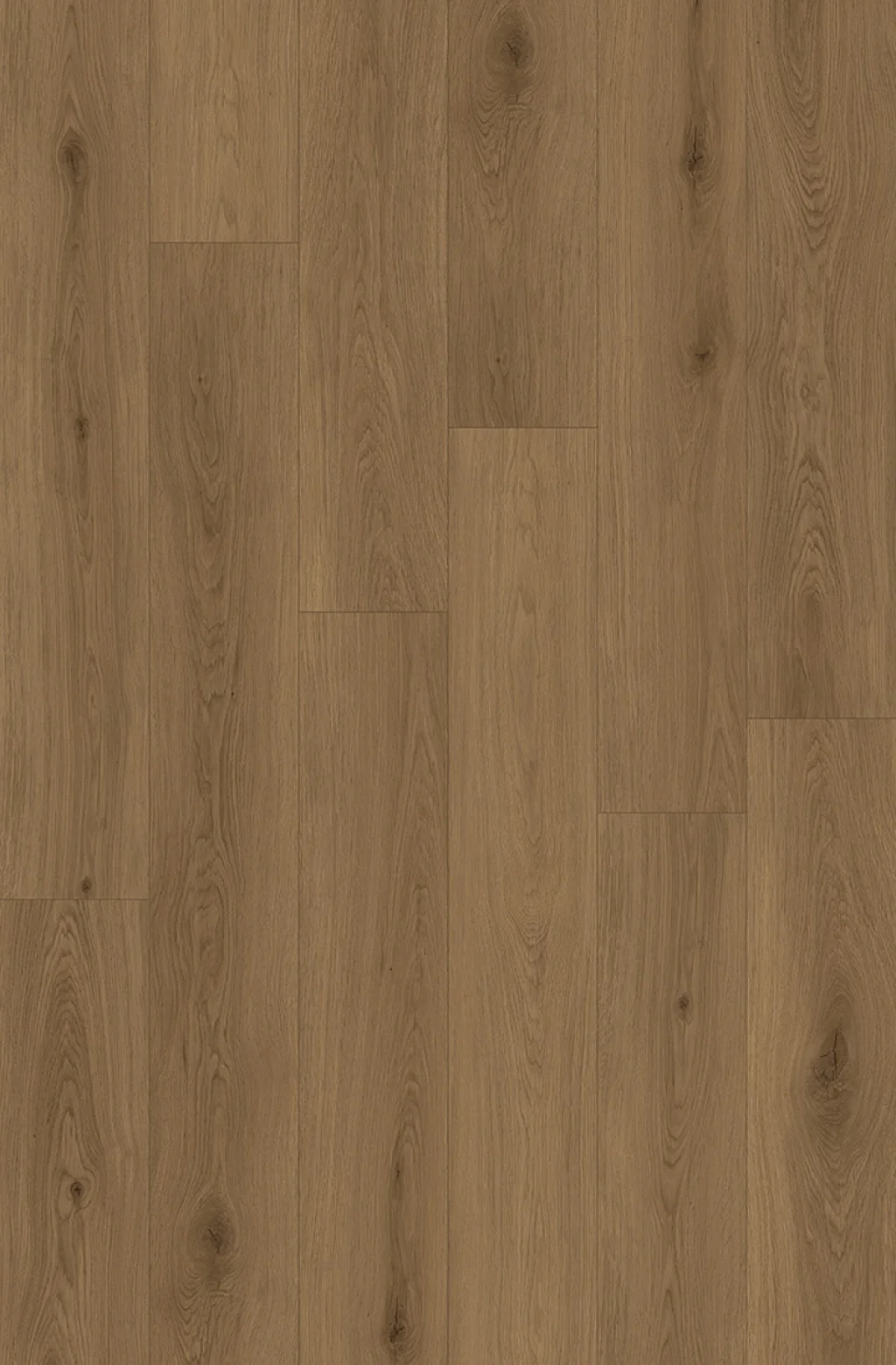 Color Image